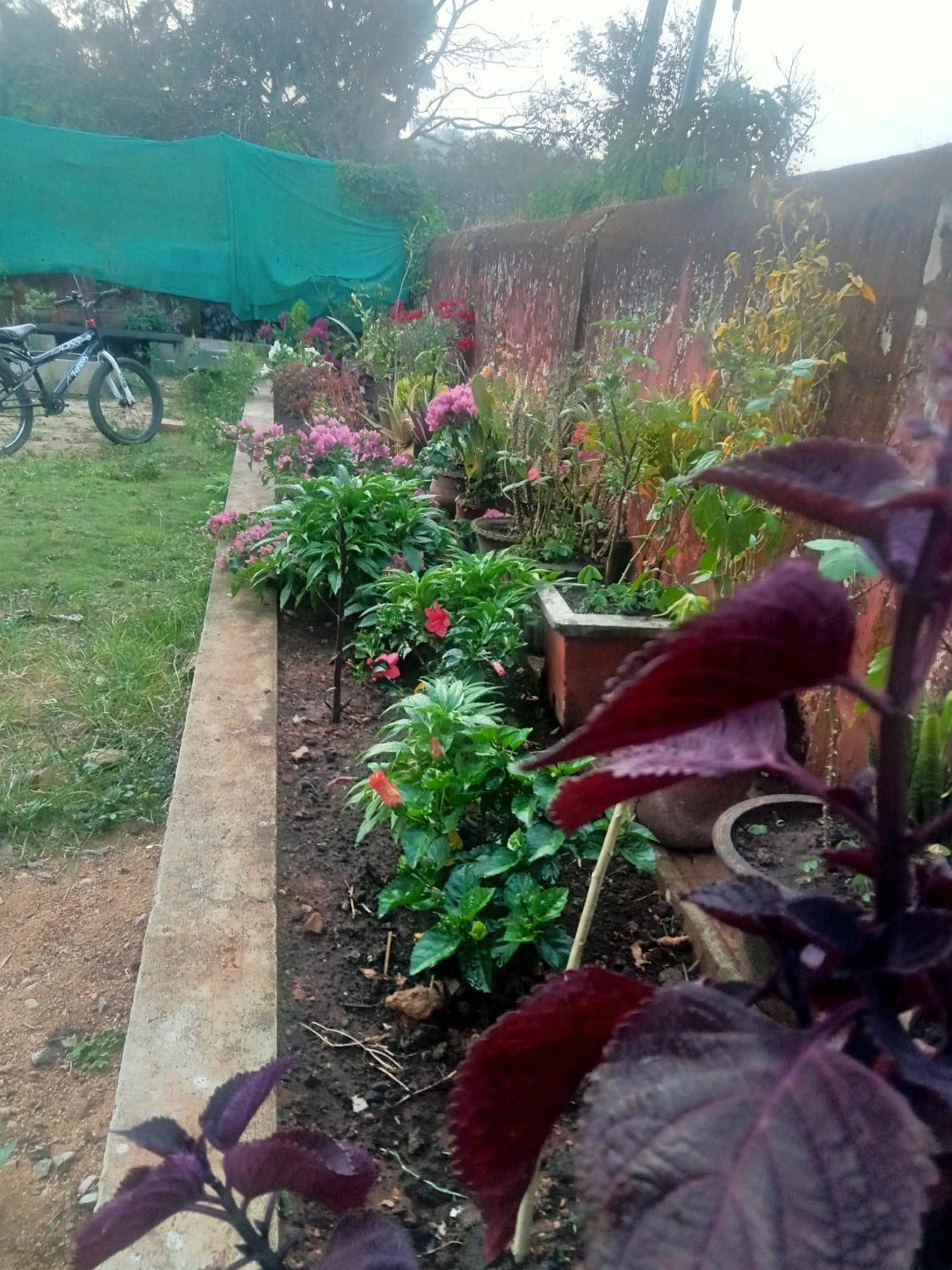 Eshwarkrupa Homestay Madikeri Eksteriør bilde